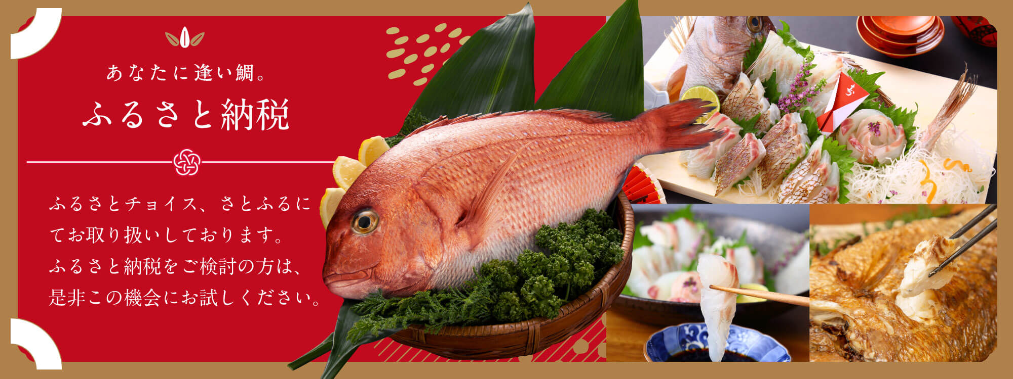 あなたに逢い鯛 ふるさと納税